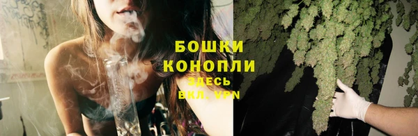 индика Бородино