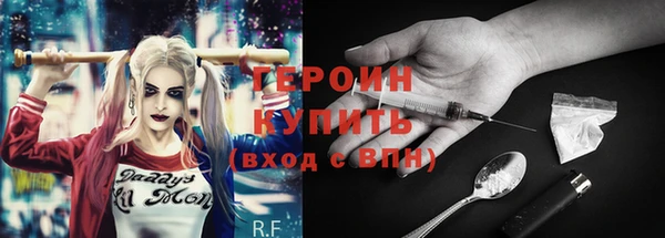 индика Бородино