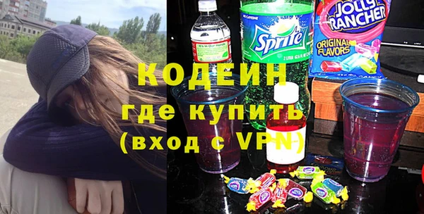 индика Бородино