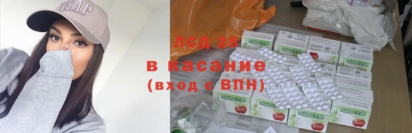 индика Бородино