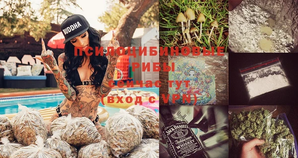 индика Бородино