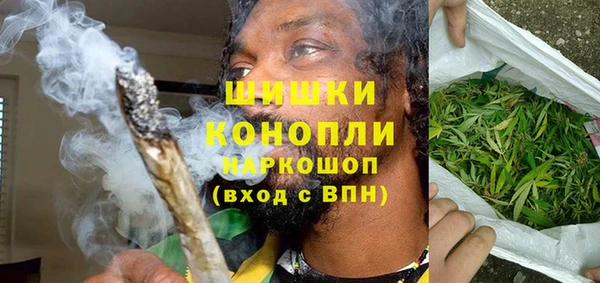 индика Бородино