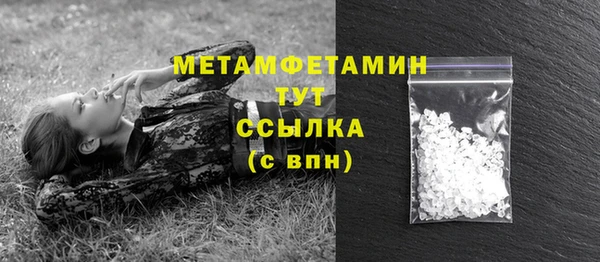 хмурый Сосновый Бор