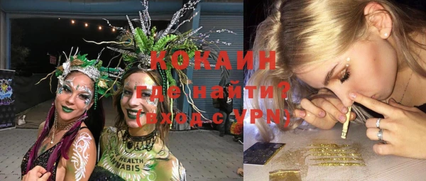 индика Бородино