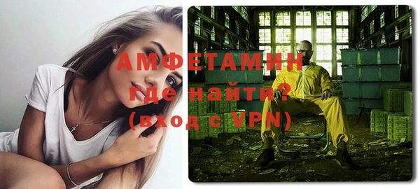 индика Бородино