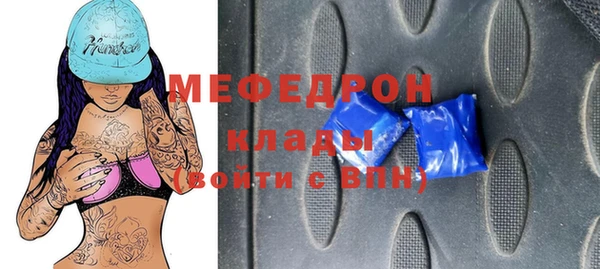 индика Бородино