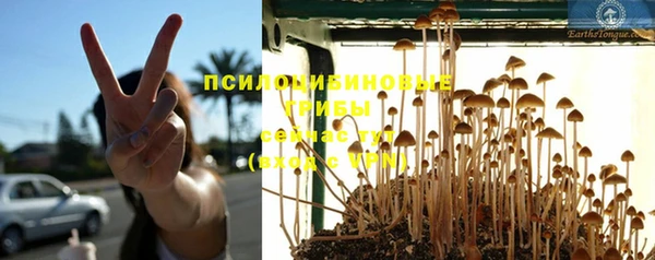 дмт Бугульма