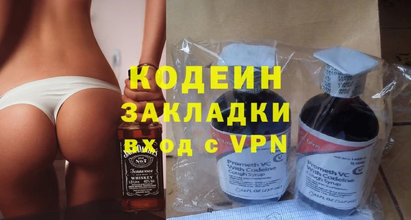 индика Бородино
