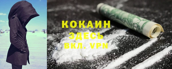 индика Бородино