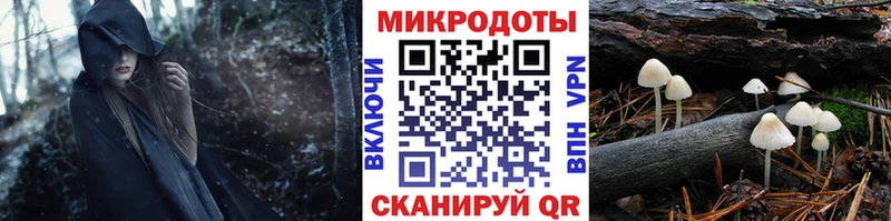 купить наркотики сайты  мега рабочий сайт  Псилоцибиновые грибы мицелий  Можайск 